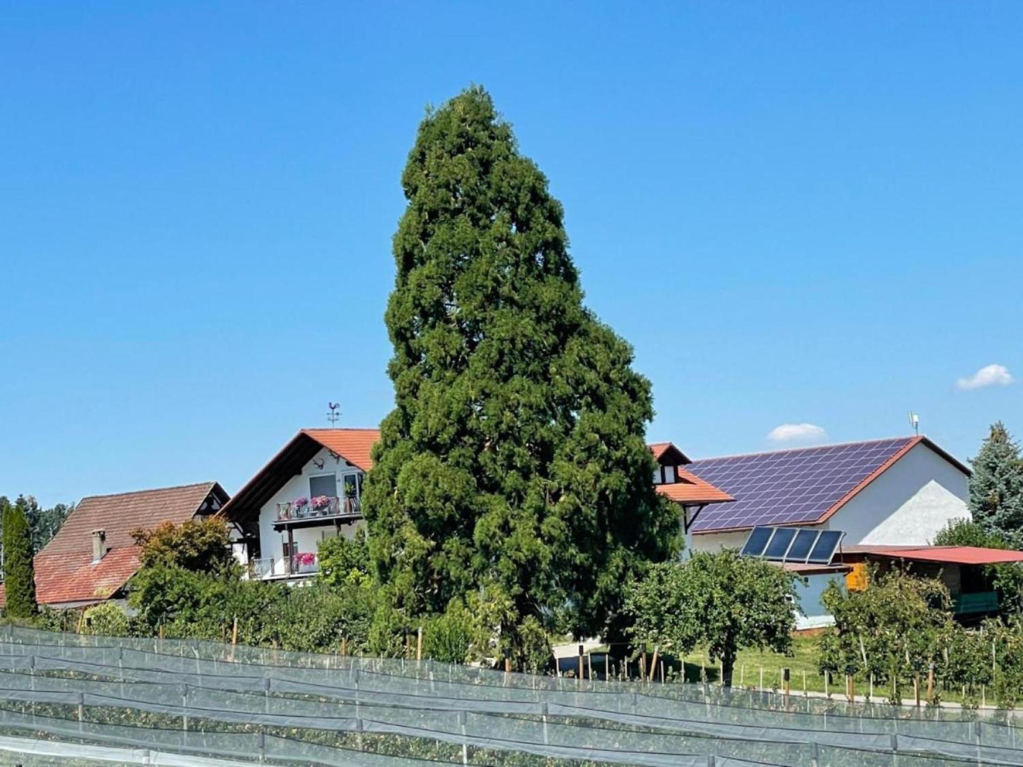 Bergchalet Mirabell - Hofgut Friedrichshafen Exterior photo